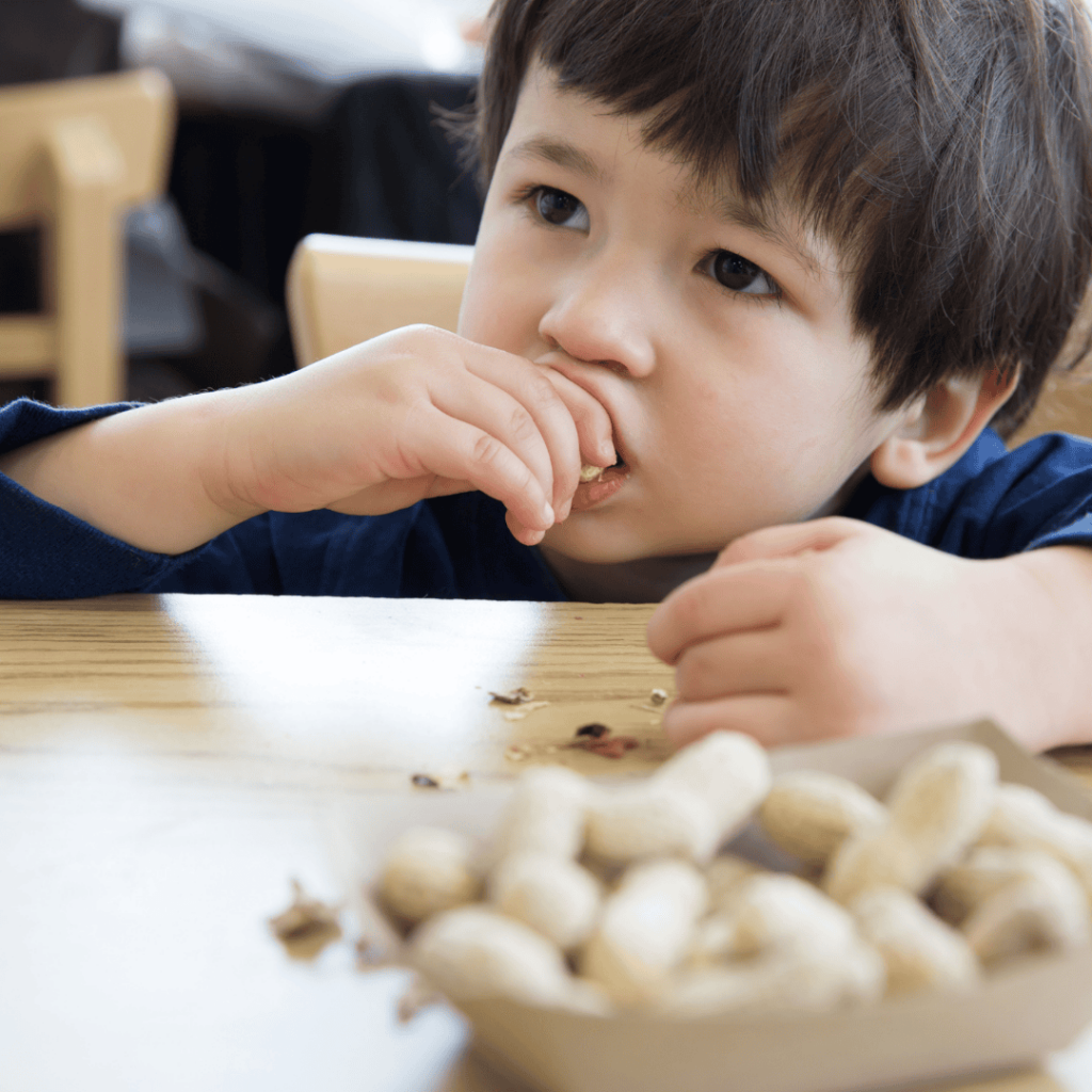 A young boy sits at a table eating peanuts. 