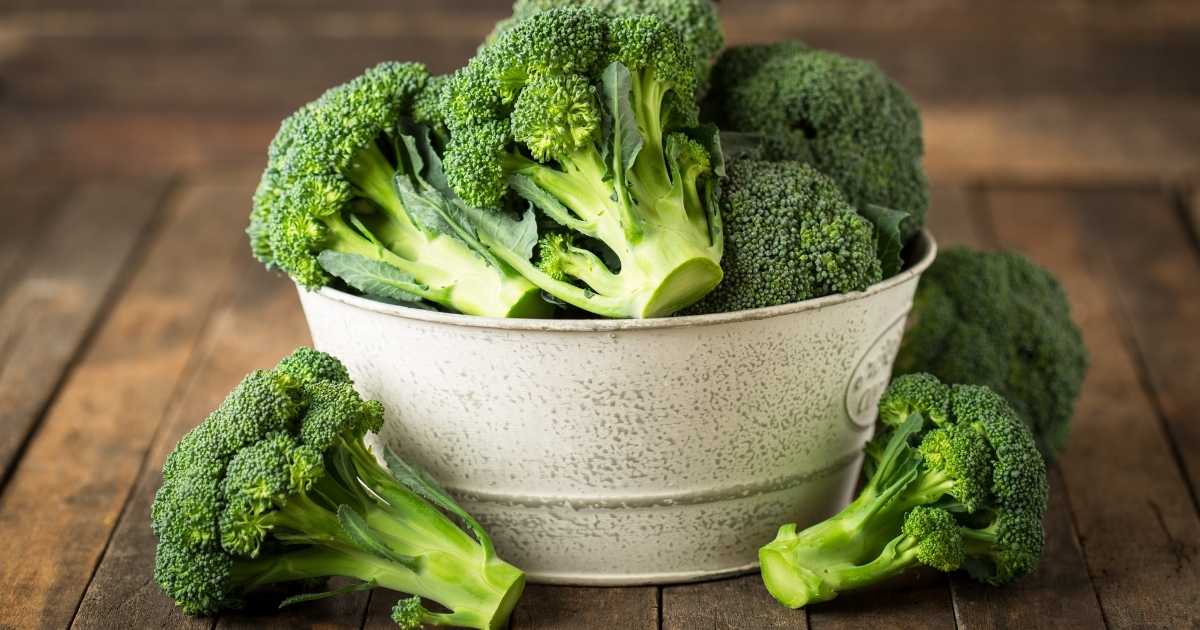 A white bowl full of broccoli. 